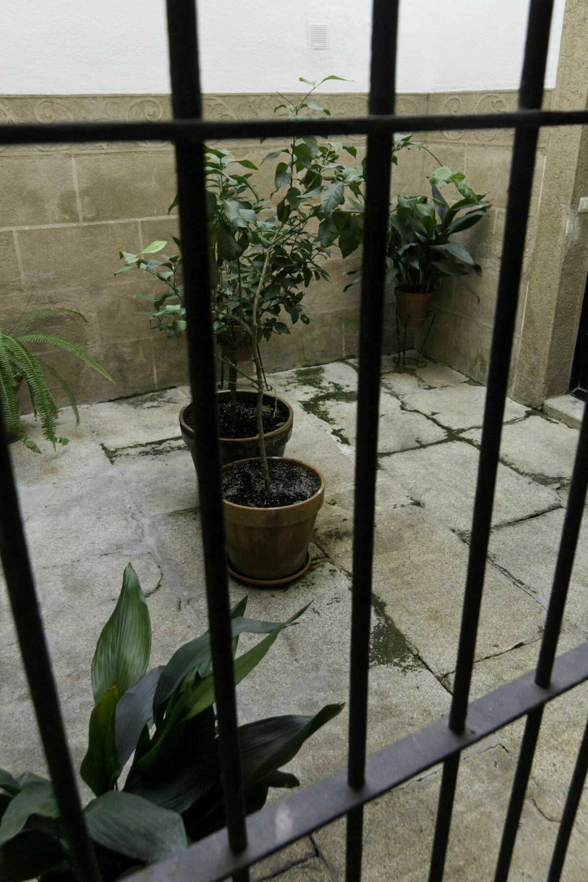 Casa Conde De Santa Olalla Caces Dış mekan fotoğraf